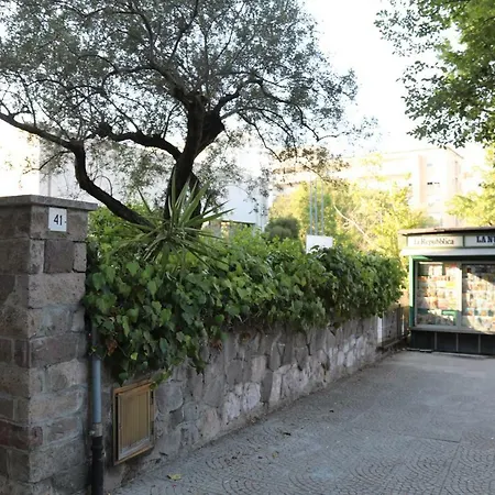 Viale Italia 41: I Migliori Anni 사사리